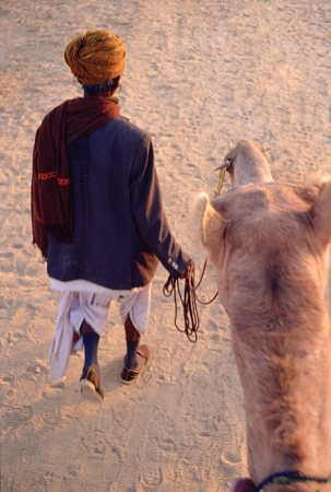 Camel Driver Camel Driver