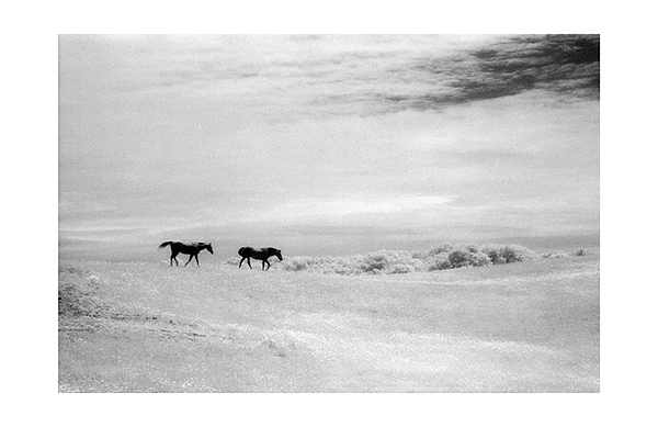 Along The Ridge